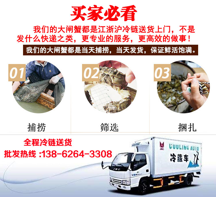  大闸蟹批发 螃蟹批发价格